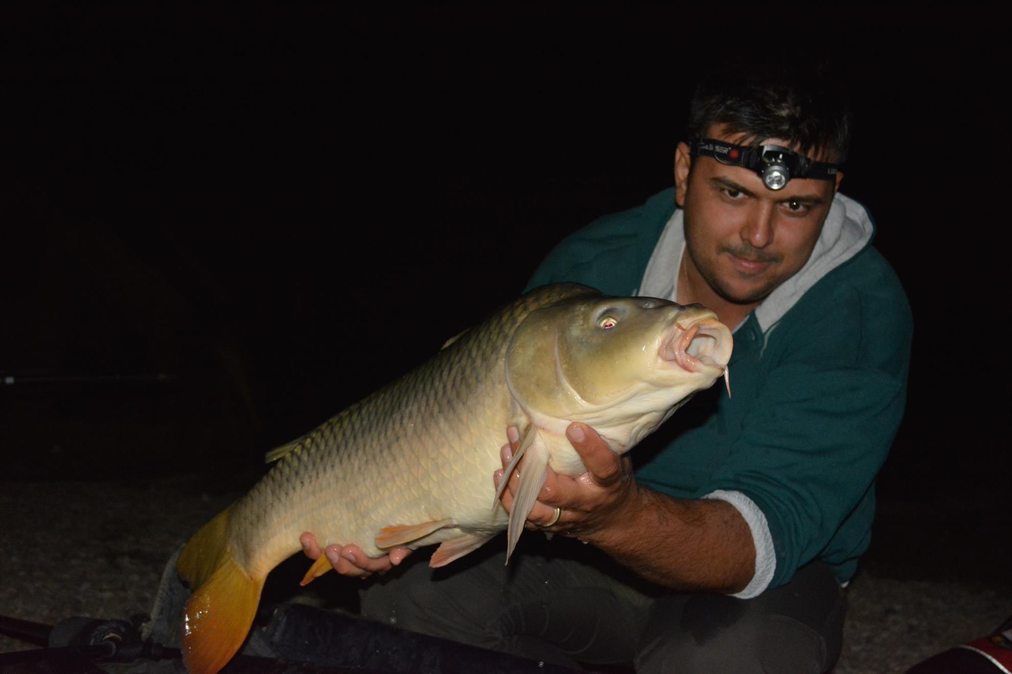 Hermes Peris 12 - 13 septembrie 2014 - 107032326115218689654801075822635o.jpg